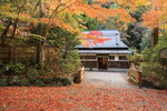Osa_08