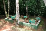 Ug 635 Kibale Forest