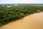 831_Amazon Rainforest