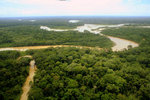 832_Amazon Rainforest