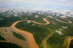 834_Amazon Rainforest