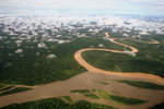 835_Amazon Rainforest