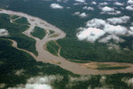 836_Amazon Rainforest