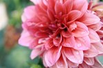 IMG_4636 (Small)