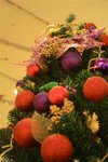IMG_0443 (Small)