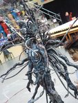DSC00440