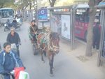 北京的街道
