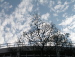 PICT0308