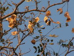 PICT0325