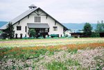 FURANO 05