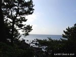 DSC00486