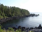 DSC00523