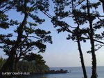 DSC00532