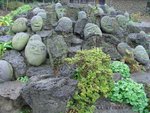 DSC00548