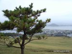 DSC00554