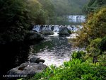 DSC00619