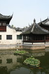 IMG_0007_1