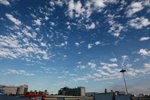 IMG_0006