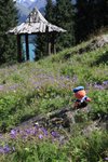 IMG_0038