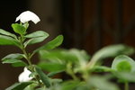 DSC00015