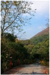 IMG_1127 利開古寺沿車路登上紅花嶺