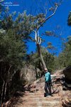 C (10) 沿山路而上,大約行30分鐘左右就會到達Wineglass Bay Lookout
