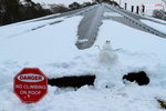 C (151) 雪人........