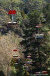 C (258) 全長457高300米既Chairlift,是一張由鋼纜吊到半空的椅子，穿梭峽谷兩岸。