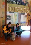 C (8) 先黎到Freycinet遊客中心，由於我地之後都要去Cradle Mountain，所以我們用60元(車)買了張Three National park 的通行證，一個月無限進出。