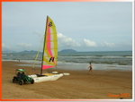 DSCF5519