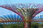 B (27) 擎天樹叢(Supertree Grove)的幾棵巨樹間，有一條長達128公尺的空中步道(OCBC Skyway)