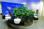 B (38)Cloud Forest 內的洗手間