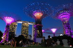 B (46) Flower Dome 無咩好睇，連相都冇影，接著去返Supertree睇Show。