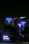 B (51) 睇完去對面既SINGAPORE FLYER準備睇Supertree既煙火表現。