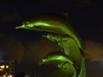 DSCF2346