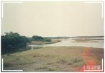 92 - 米埔蘆葦林