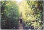 92 - 林路中