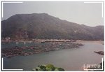 92 - 南丫島索罟灣