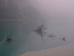 DSCF7235