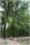 IMG_8911 公園內都有很多拍攝既好位置