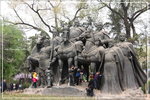 IMG_8954