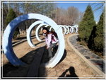SAM_0323