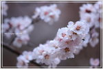 IMG_6880