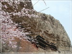 SAM_0538