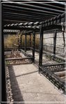 IMG_7610 後園的長廊