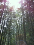 DSCF1140