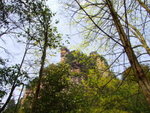 DSCF1159
