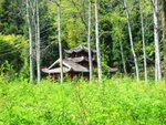DSCF1161