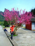 DSCF1163