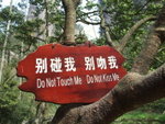 DSCF1197